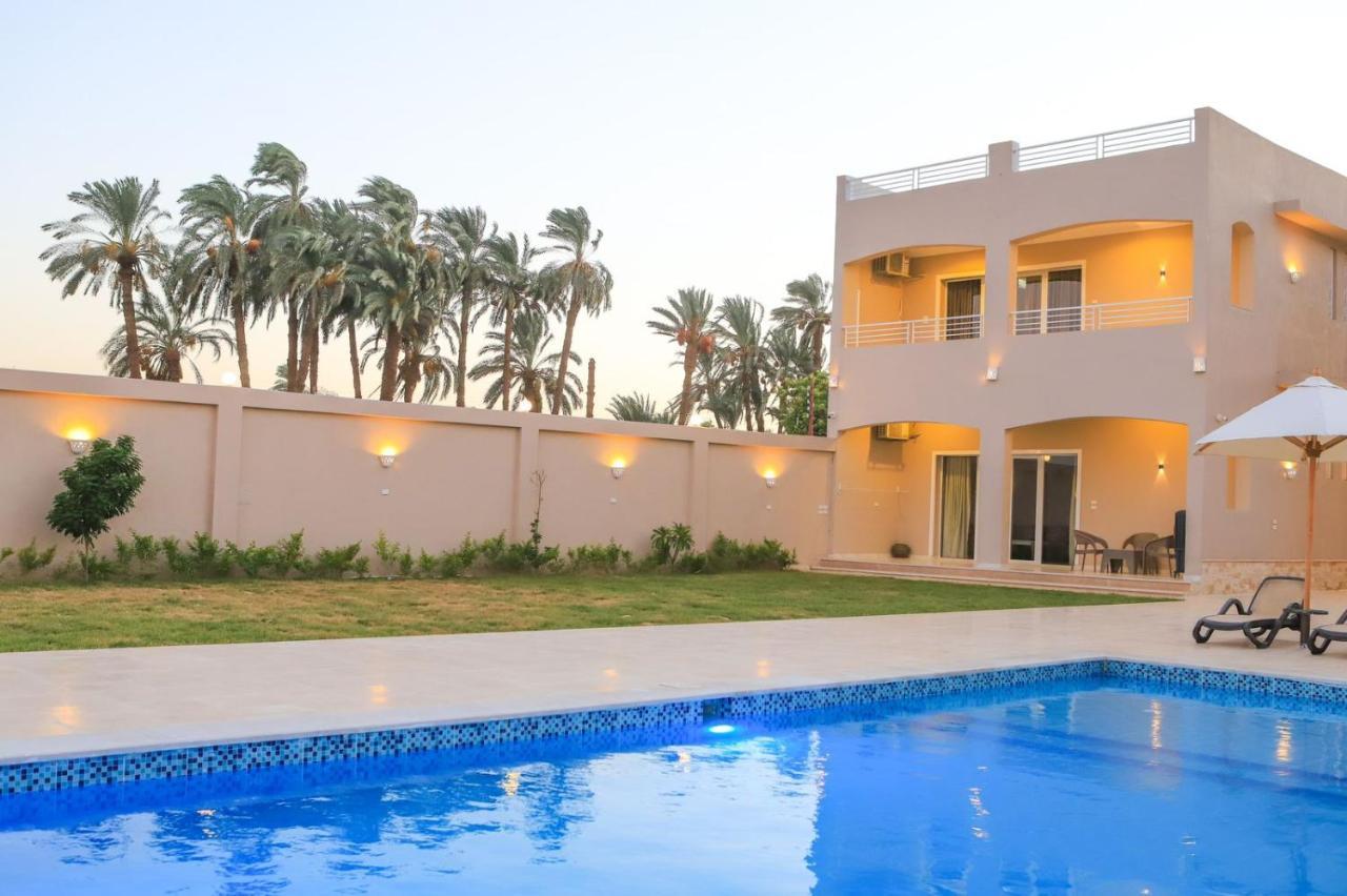 Royal Nile Villa - Pool View Apartment 1 Луксор Екстериор снимка